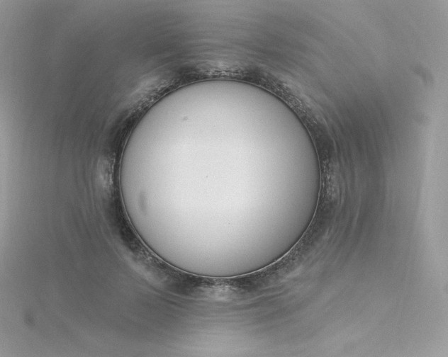 X0000115830695200911271159