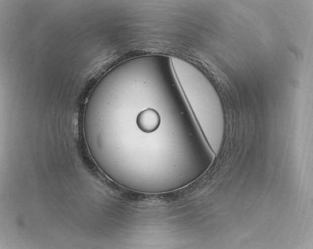 X0000115830696200911271159