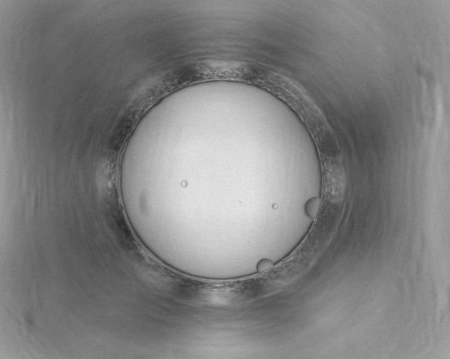 X0000115830701200911271159