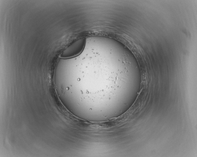 X0000115830703200911271159