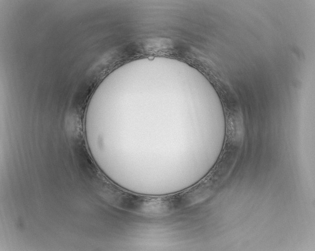 X0000115830705200911271159