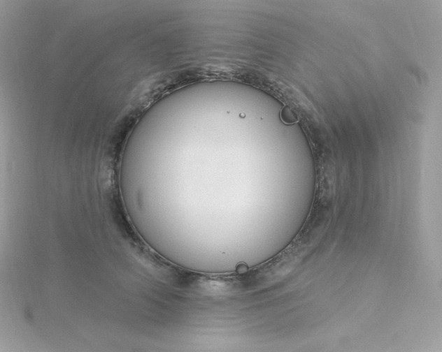 X0000115830706200911271159