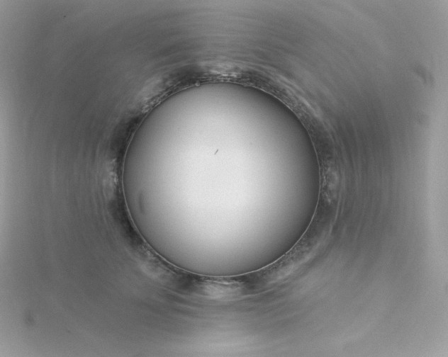 X0000115830707200911271159