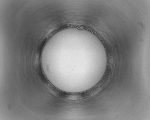 X0000115830708200911271159