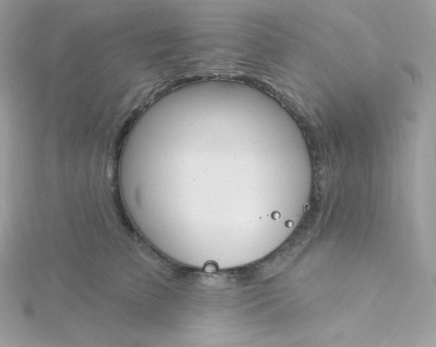 X0000115830709200911271159