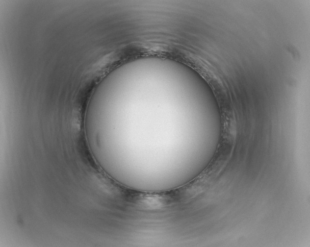 X0000115830710200911271159