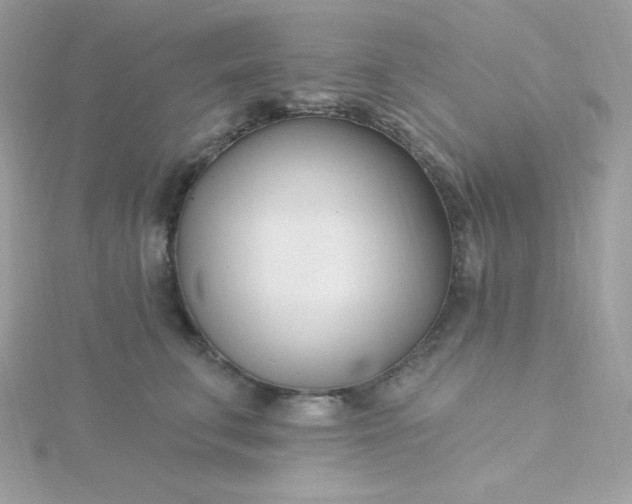 X0000115830711200911271159