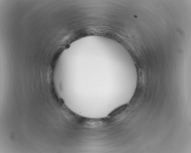 X0000115830712200911271159