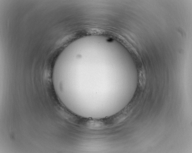 X0000115830714200911271159