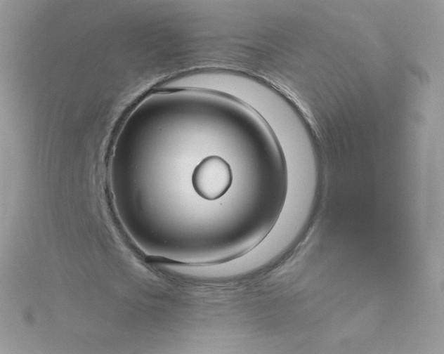 X0000115830721200911271158