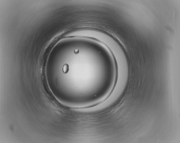 X0000115830723200911271158