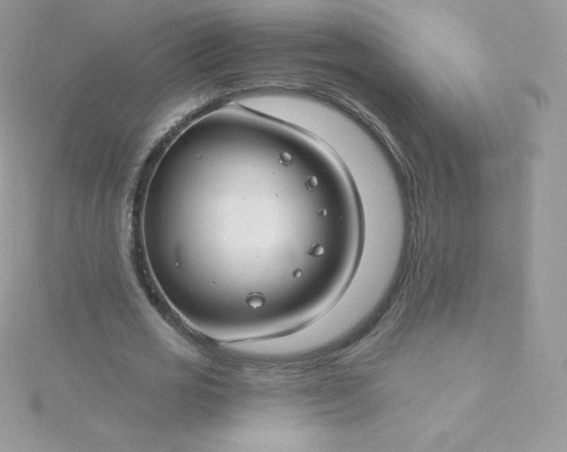 X0000115830725200911271159