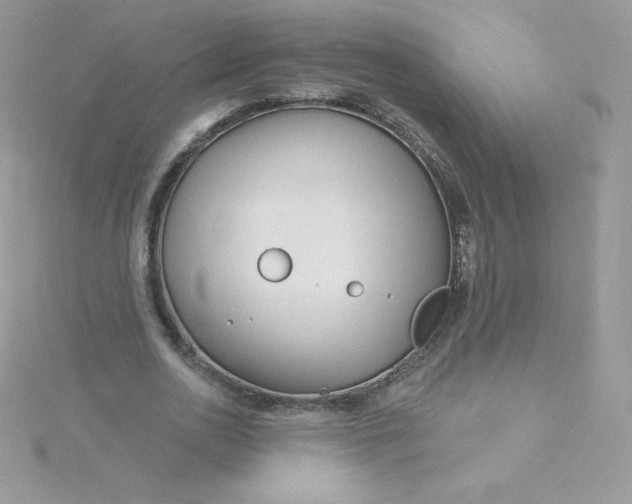 X0000115830726200911271159