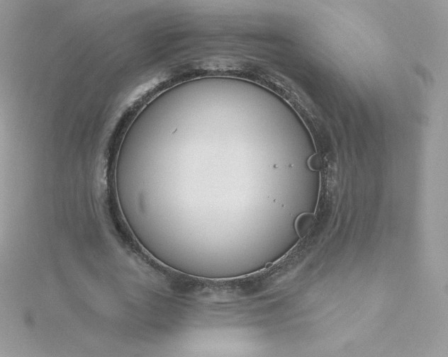 X0000115830727200911271159