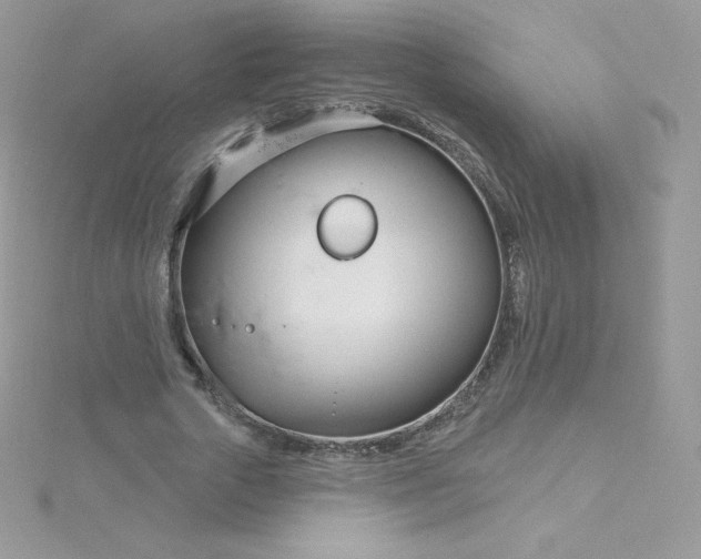 X0000115830729200911271159