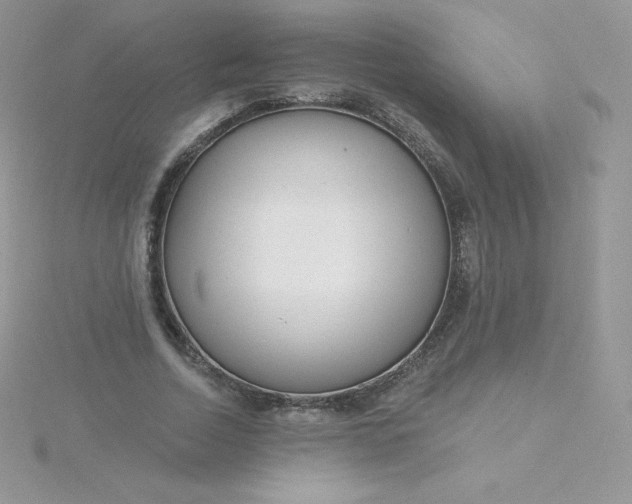 X0000115830730200911271159