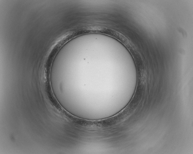 X0000115830731200911271159