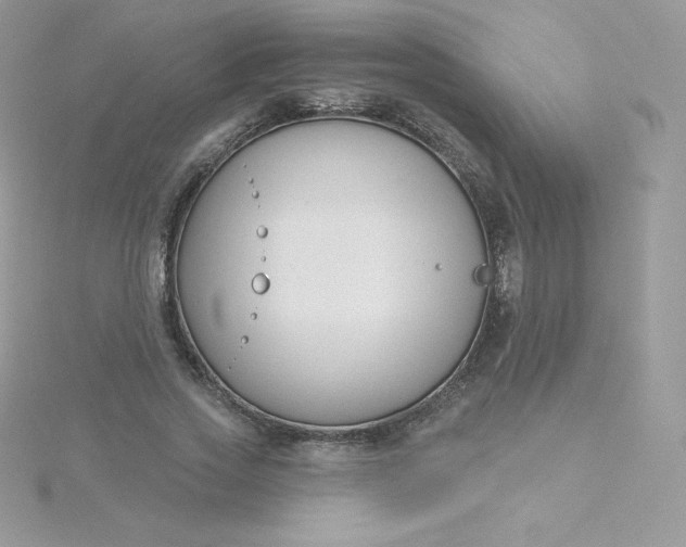 X0000115830733200911271159