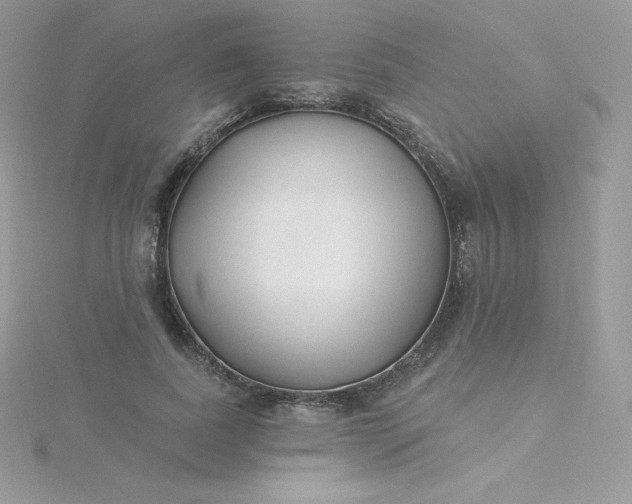 X0000115830739200911271159