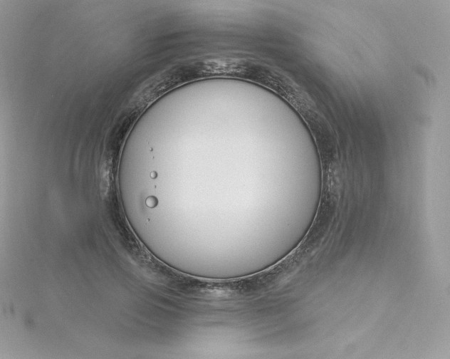 X0000115830741200911271159