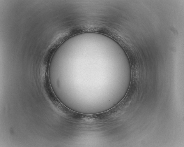 X0000115830742200911271159