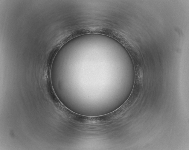 X0000115830746200911271159