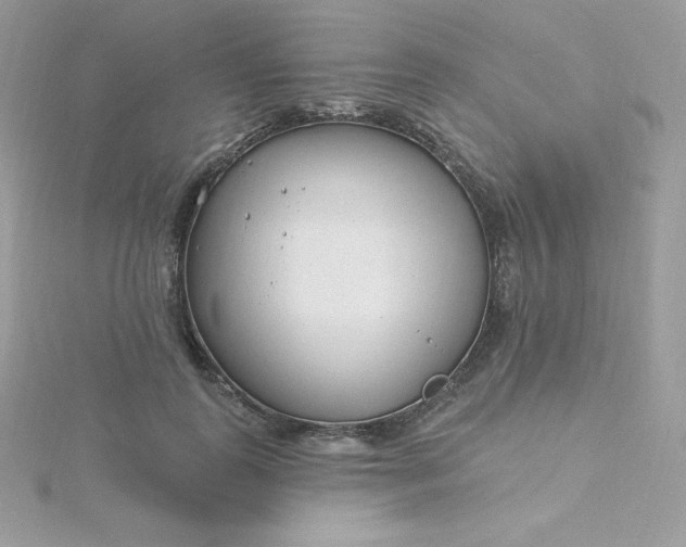 X0000115830747200911271159