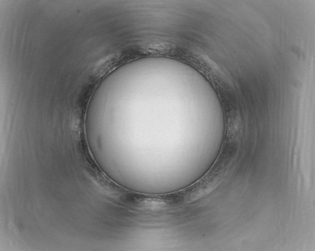 X0000115830749200911271159