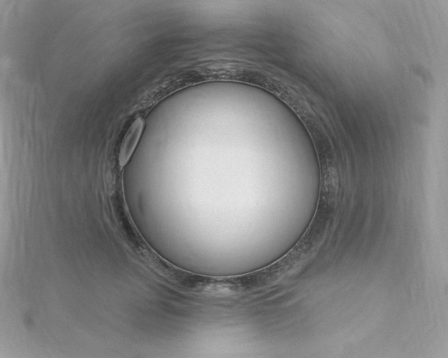 X0000115830751200911271159