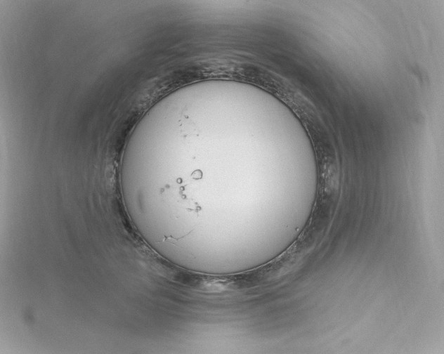 X0000115830753200911271159