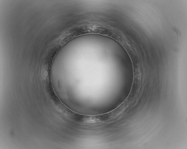 X0000115830754200911271159