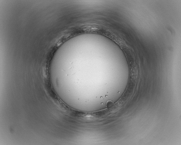 X0000115830755200911271159