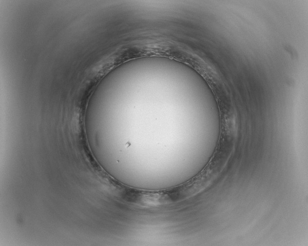 X0000115830757200911271159