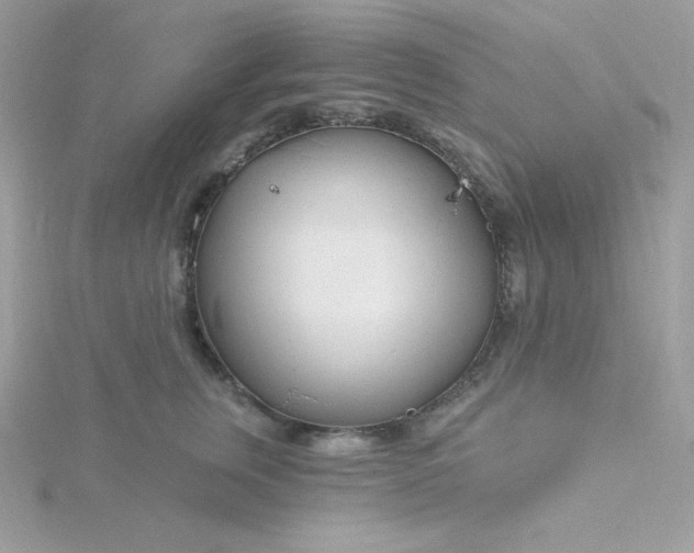 X0000115830759200911271159