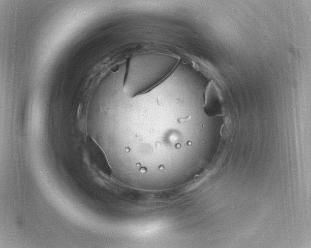 X0000115830765200911271159