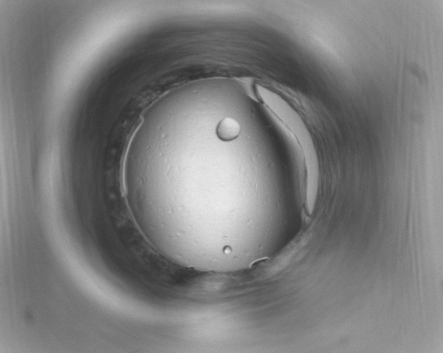 X0000115830766200911271159