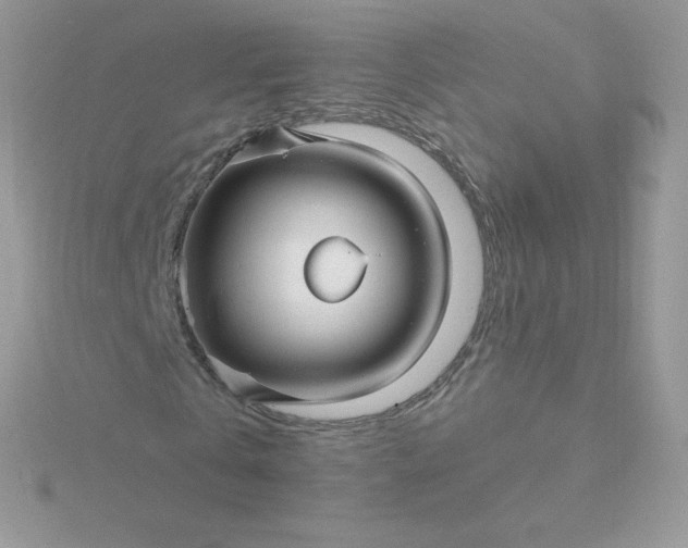 X0000115830769200911271158