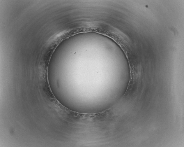 X0000115830773200911271158