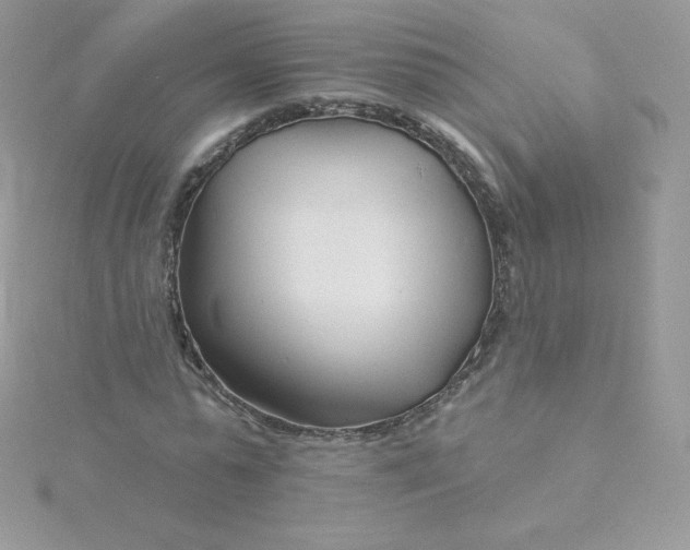 X0000115830775200911271158