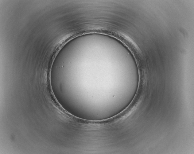 X0000115830777200911271158