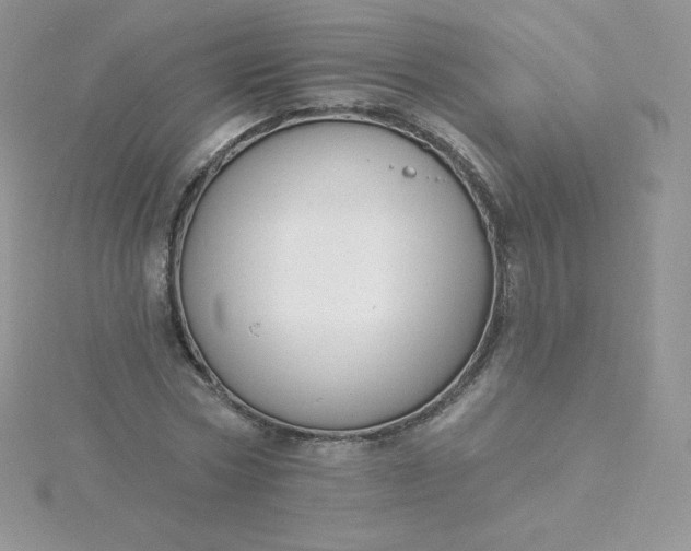 X0000115830778200911271158