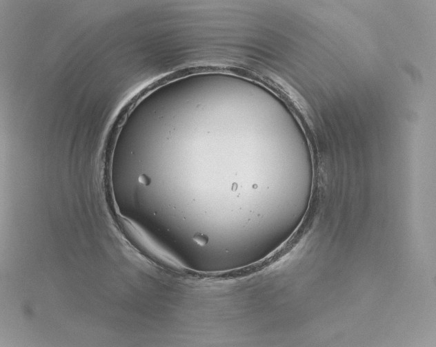 X0000115830779200911271158