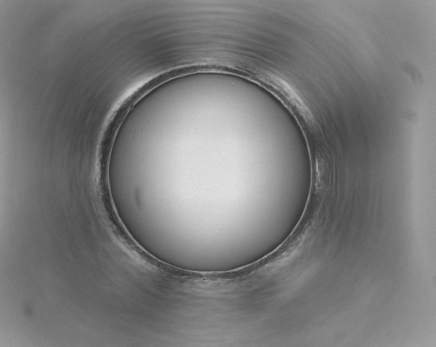 X0000115830780200911271158