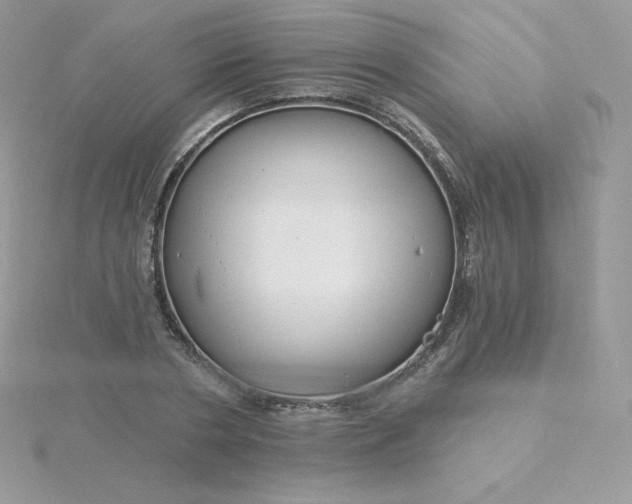 X0000115830786200911271158