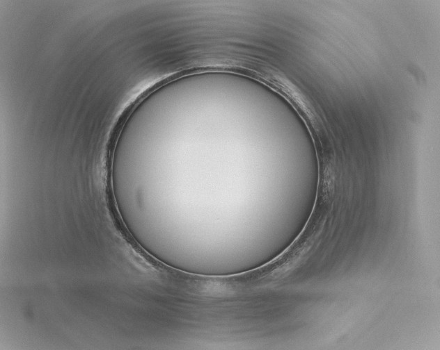 X0000115830787200911271158