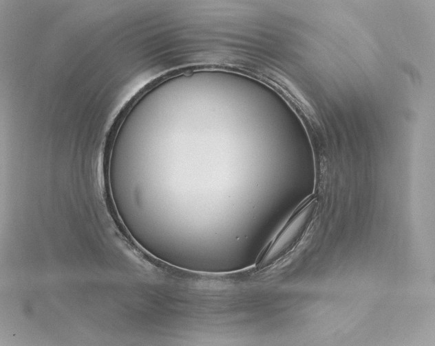 X0000115830788200911271158