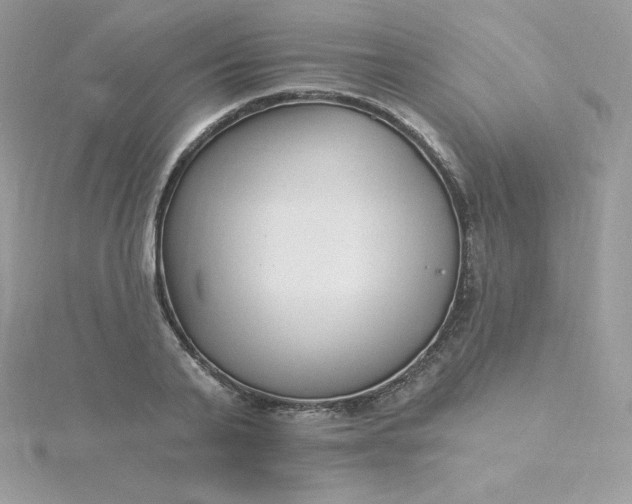 X0000115830791200911271158