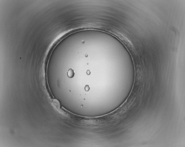 X0000115830792200911271158