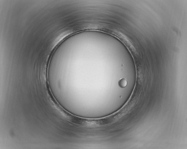 X0000115830794200911271158