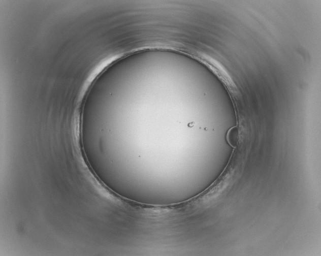 X0000115830804200911271158